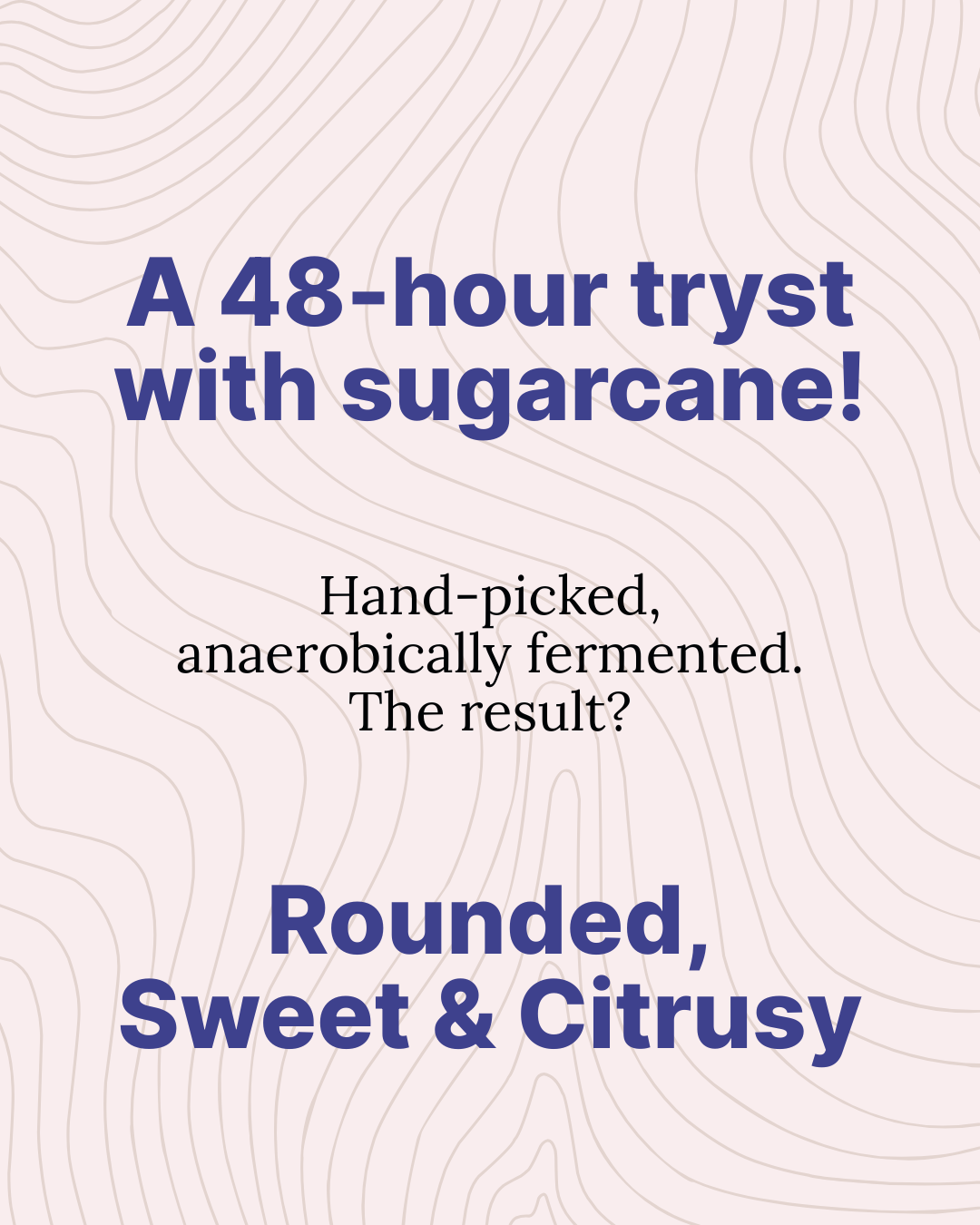 Sugarcane Ferment