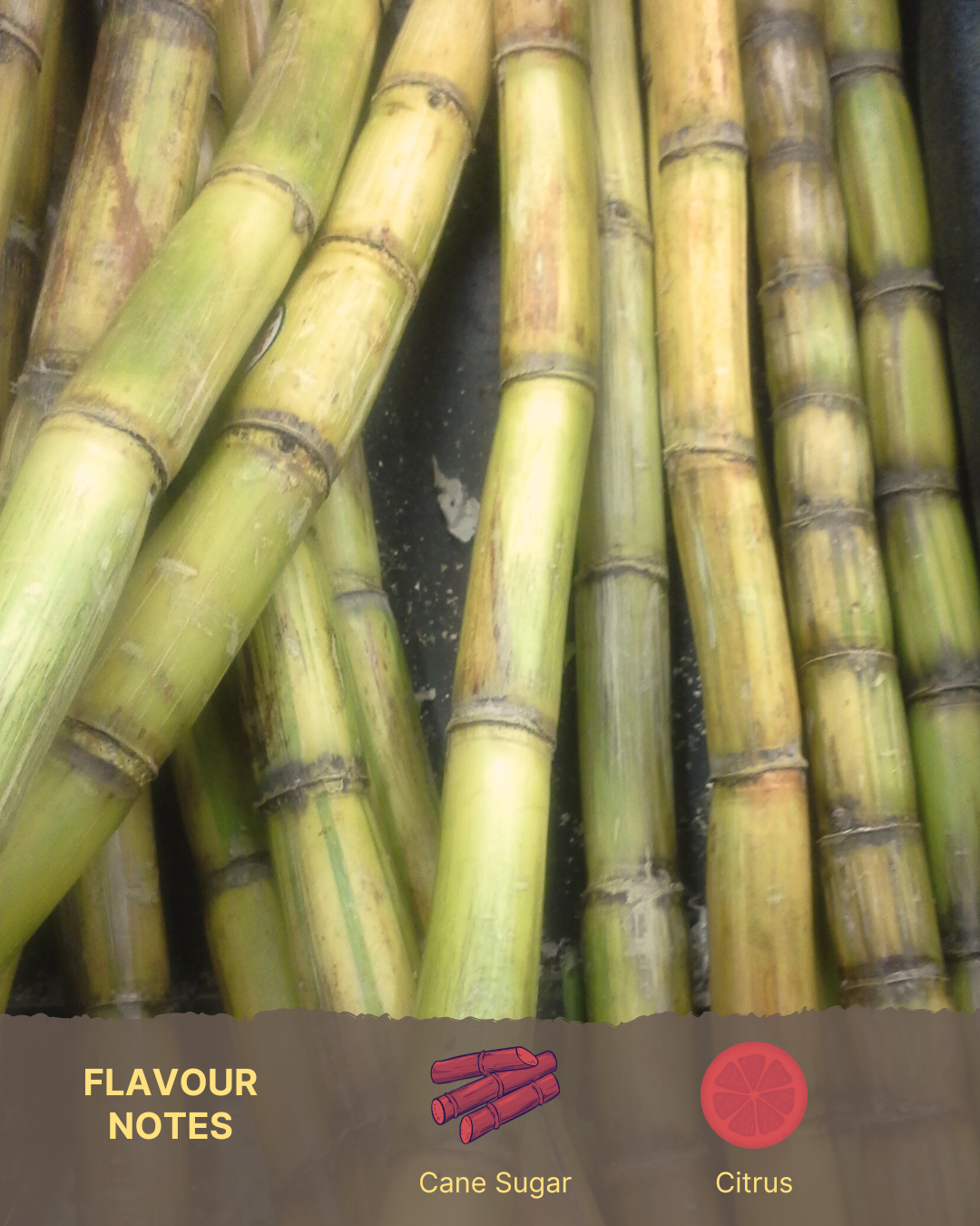 Sugarcane Ferment