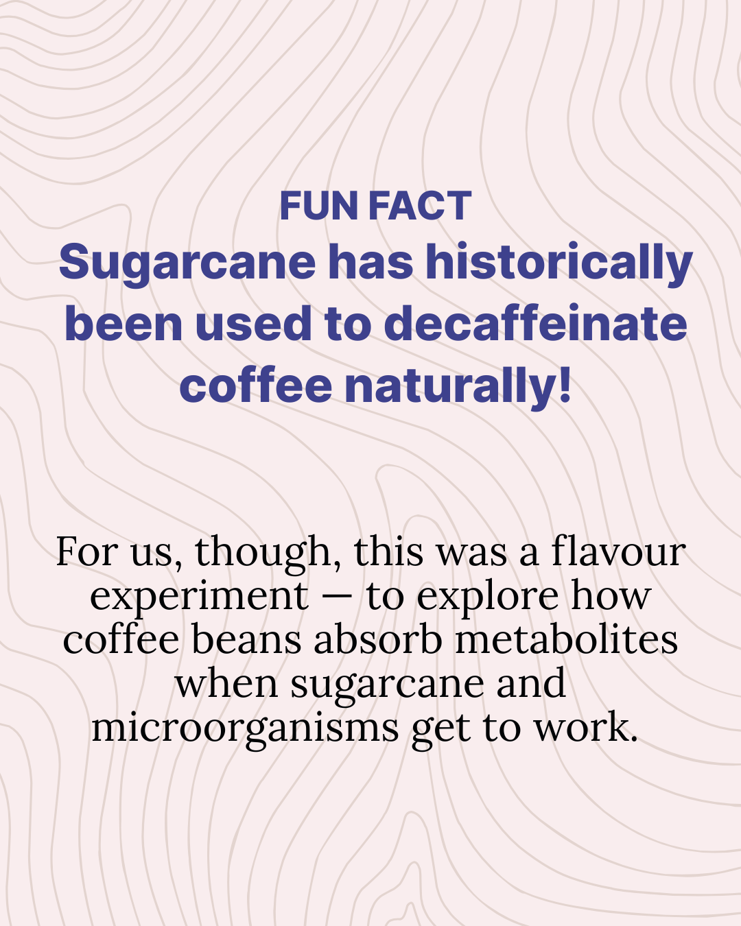 Sugarcane Ferment