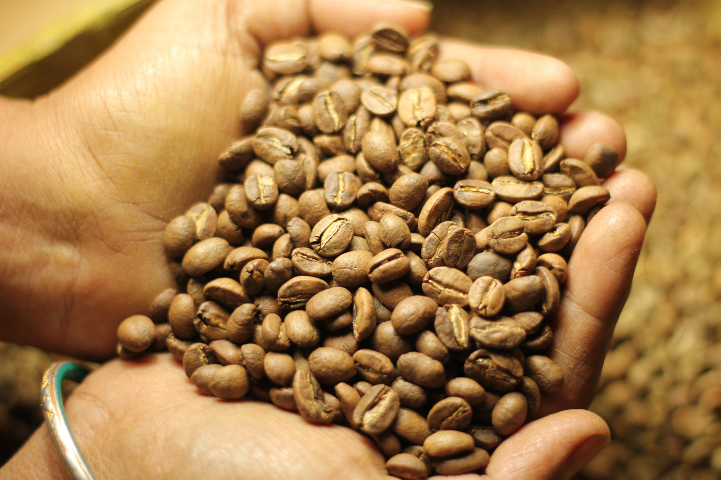 Microlot 31 | Pulp Sun-Dried Arabica