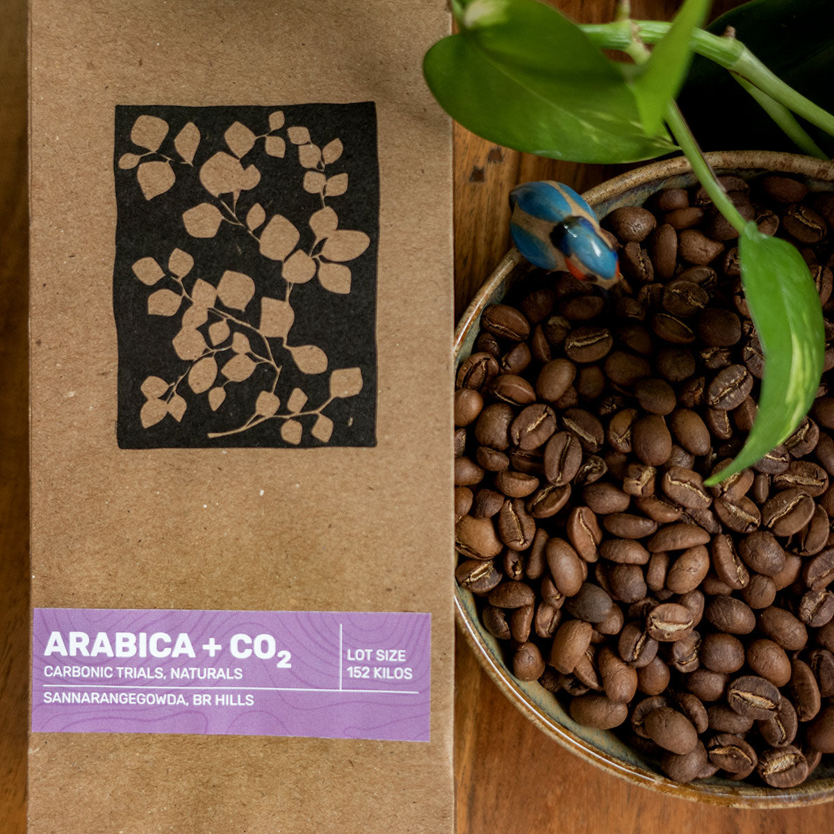 Arabica + CO₂