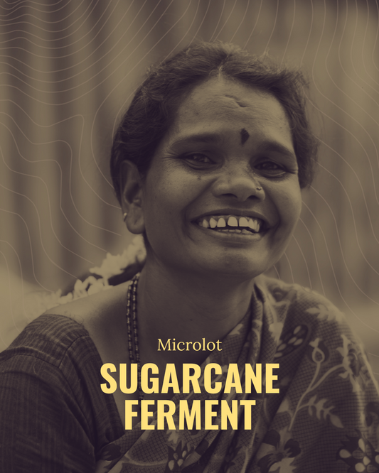 Sugarcane Ferment