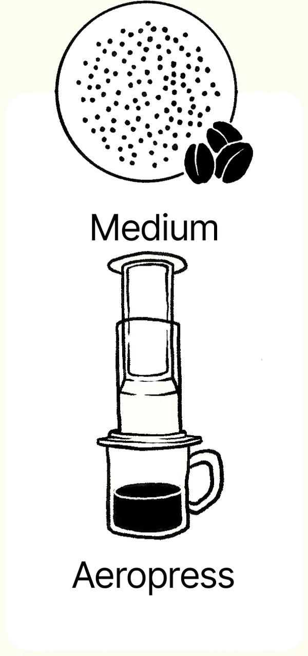 aeropress