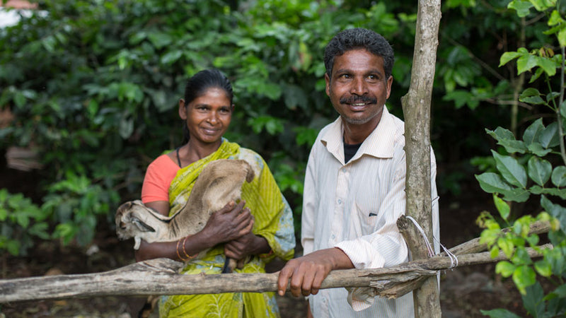 Strengthening Livelihoods