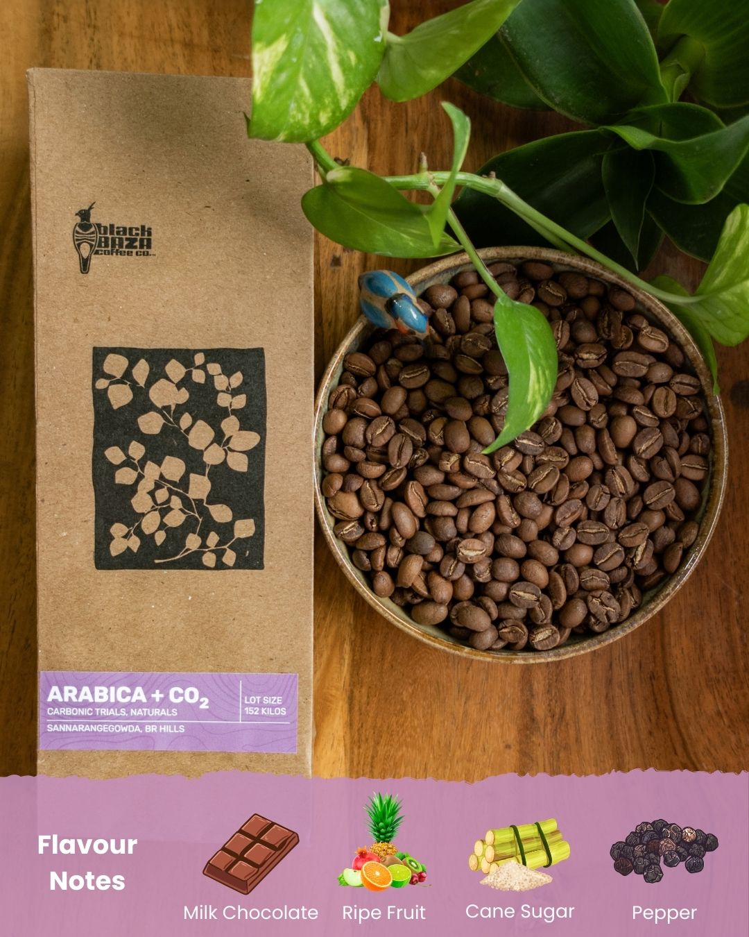 Arabica + CO₂